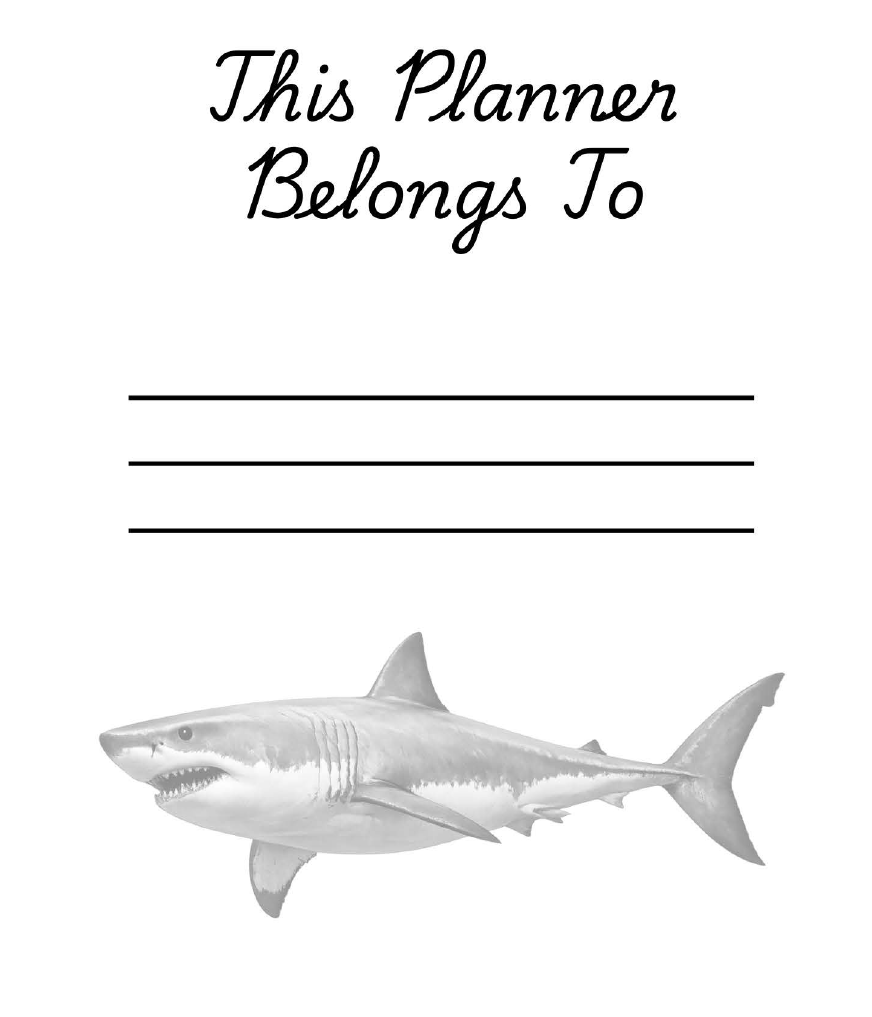 2026 Coil Bound Daily & Hourly Planner: Shark Theme Productivity Organizer with To-Do Lists and Notes | January–December Appointment Book and Time Management Planner